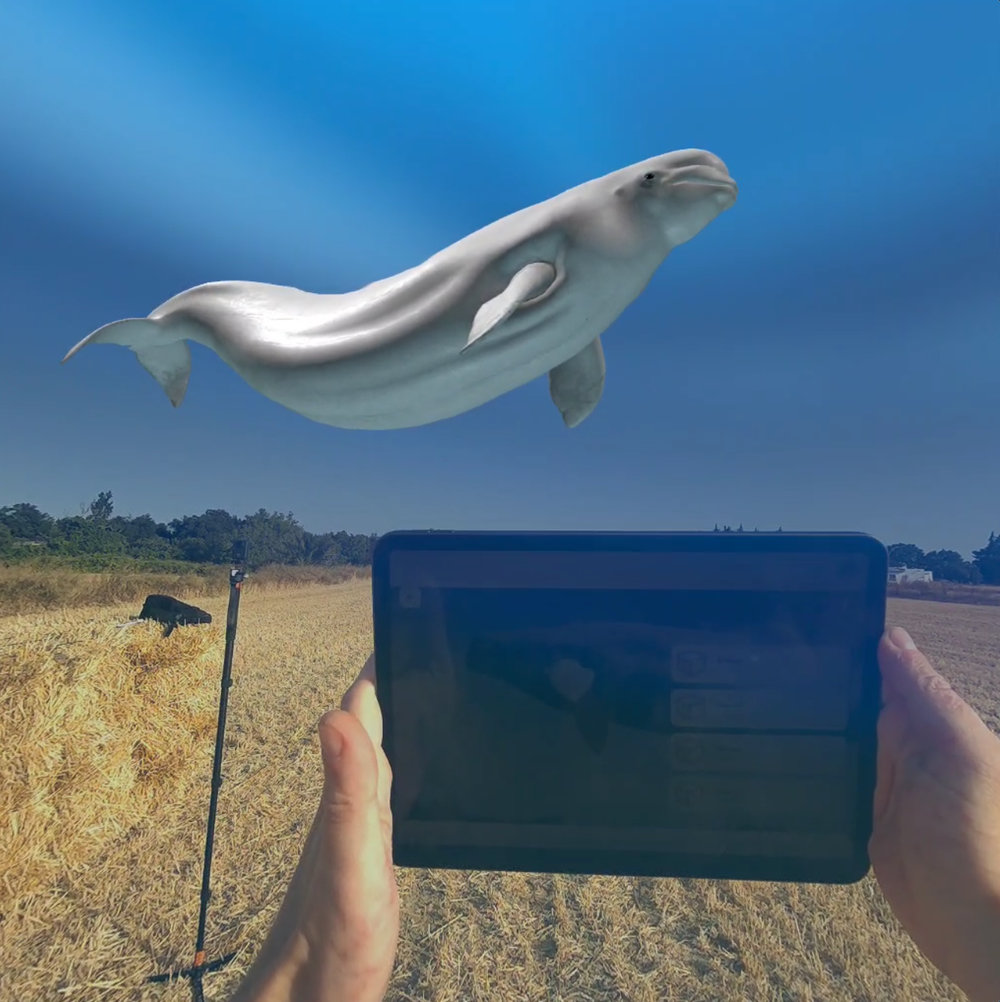 3D-Modell und 360°-Szene im Feld — alle Medientypen in einer Umgebung